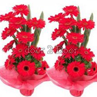 Red Jelvera Flower Set of 2