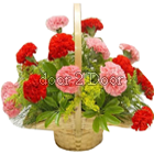 Red and Pink Carnations Basket