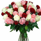 Red, White and Pink Roses Bunch