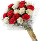 white and Red Carnation Bunch