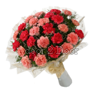 Red and Pink Carnations Mixed Bunch