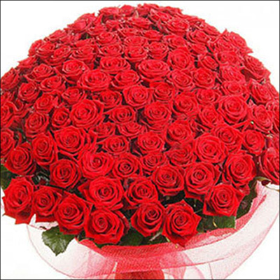 Giant 100 Roses Bunch