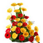 Red N Yellow Jelvera Flower Basket